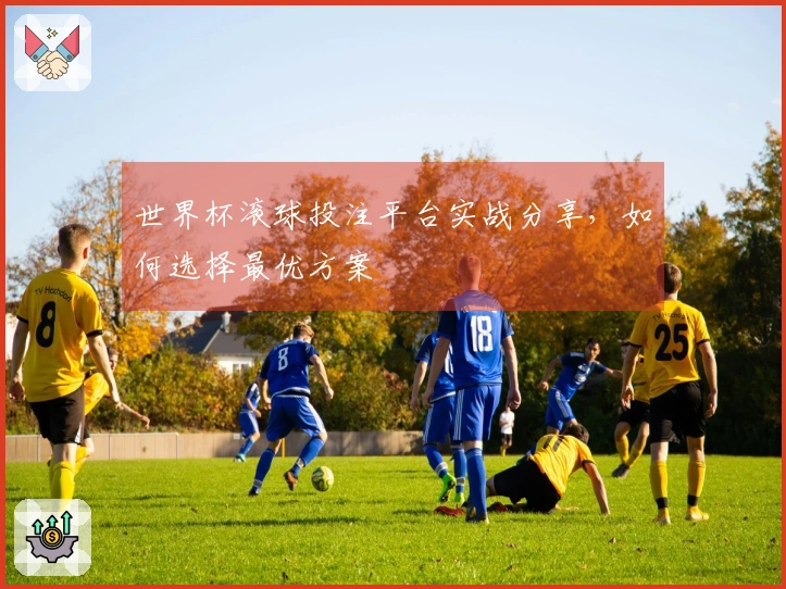 世界杯滚球投注平台实战分享，如何选择最优方案