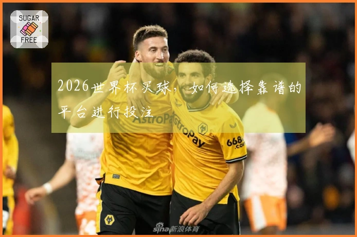 2026世界杯买球，如何选择靠谱的平台进行投注