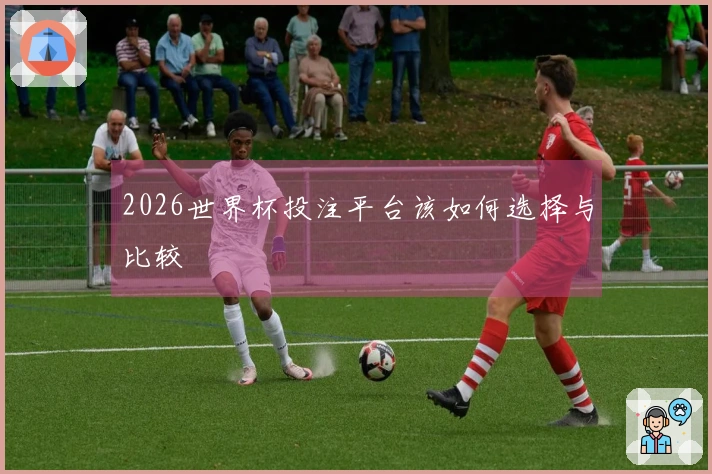 2026世界杯投注平台该如何选择与比较