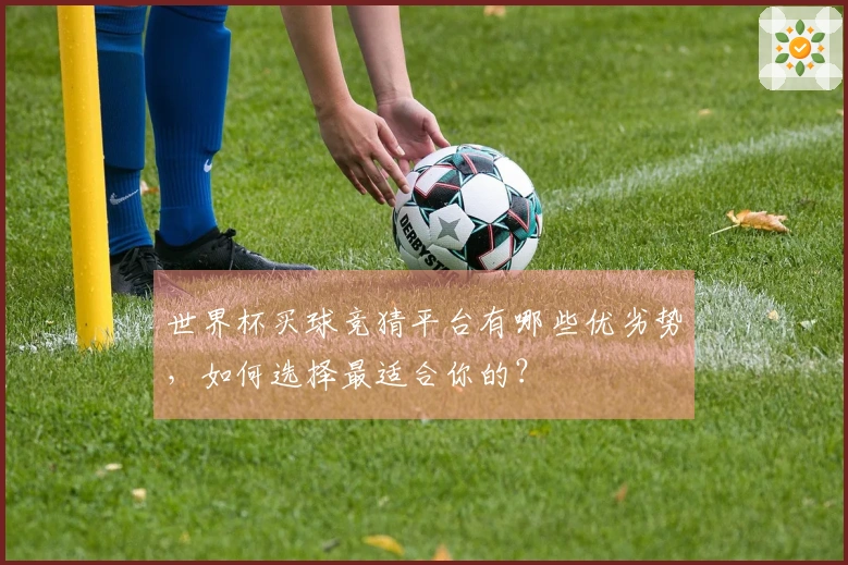 世界杯买球竞猜平台有哪些优劣势，如何选择最适合你的？