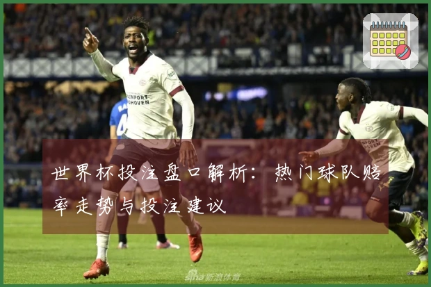 世界杯投注盘口解析：热门球队赔率走势与投注建议