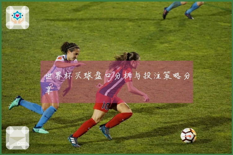 世界杯买球盘口分析与投注策略分享