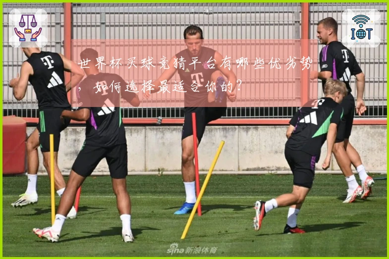 世界杯买球竞猜平台有哪些优劣势，如何选择最适合你的？