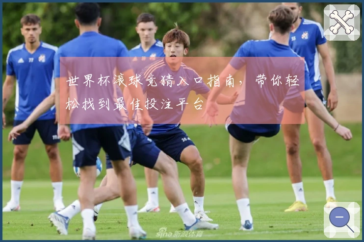 世界杯滚球竞猜入口指南，带你轻松找到最佳投注平台