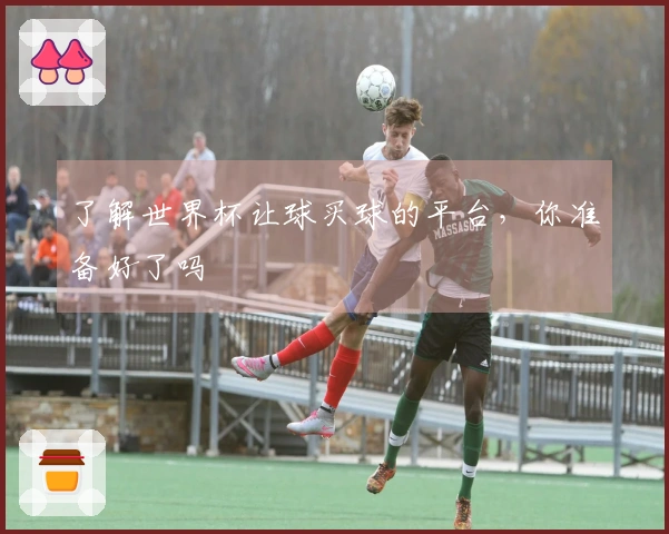 了解世界杯让球买球的平台，你准备好了吗