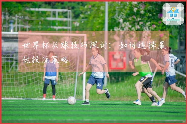 世界杯买球技巧探讨：如何选择最优投注策略