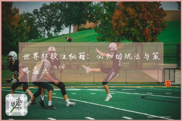 世界杯投注秘籍：必知的玩法与策略盘点