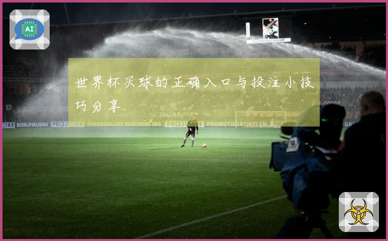 世界杯买球的正确入口与投注小技巧分享