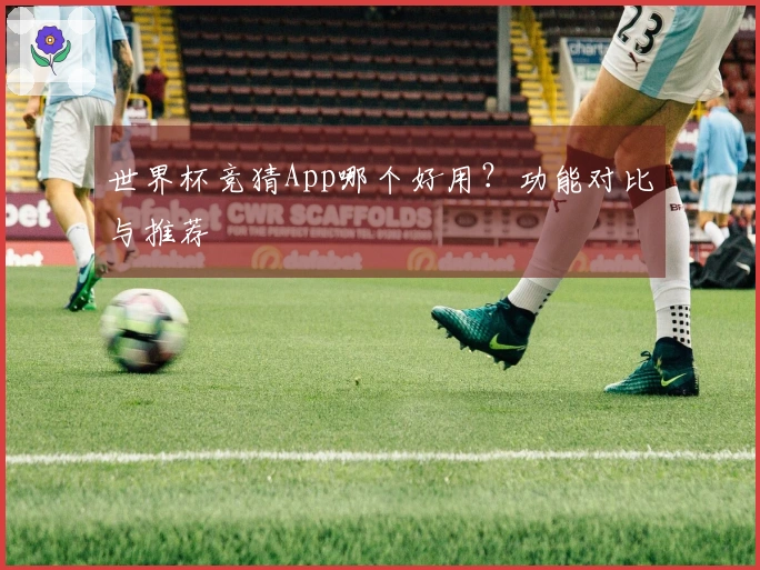 世界杯竞猜App哪个好用？功能对比与推荐