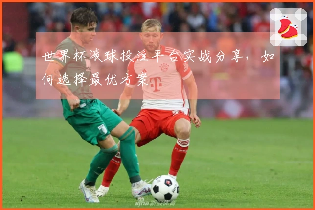 世界杯滚球投注平台实战分享，如何选择最优方案