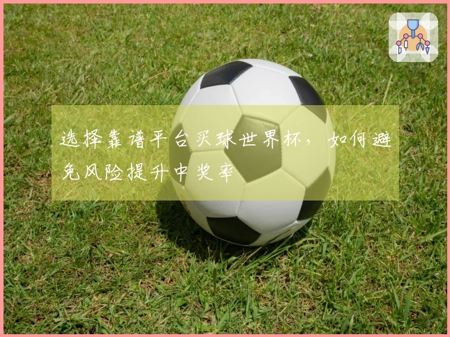 选择靠谱平台买球世界杯，如何避免风险提升中奖率