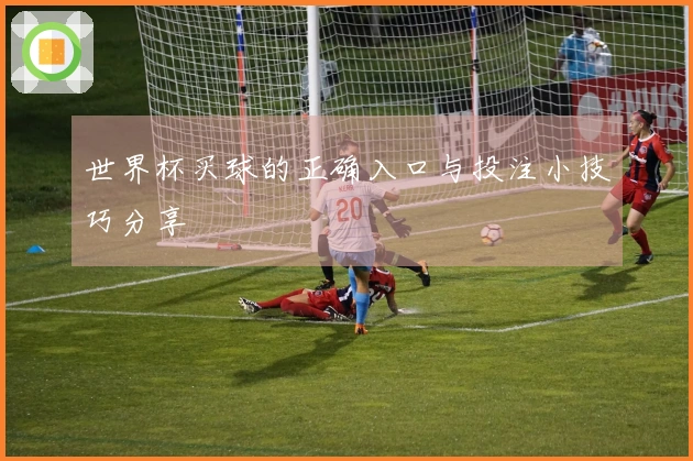 世界杯买球的正确入口与投注小技巧分享