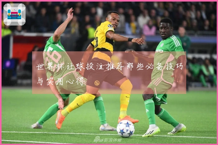 世界杯让球投注推荐那些必备技巧与实用心得