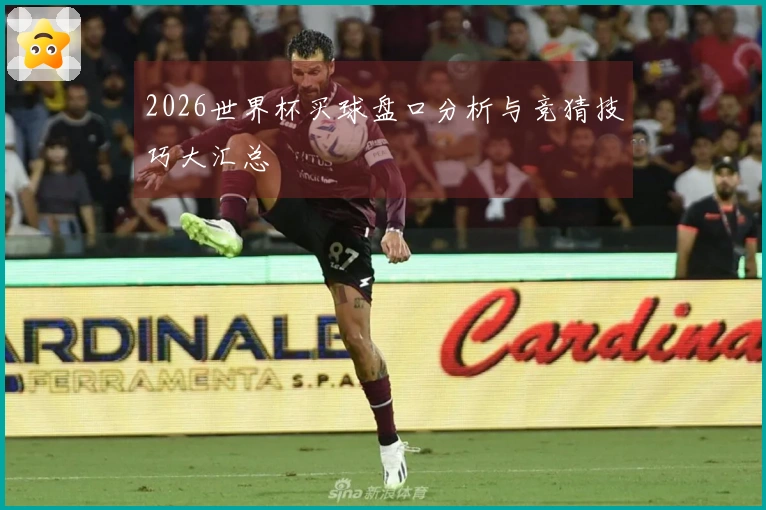 2026世界杯买球盘口分析与竞猜技巧大汇总