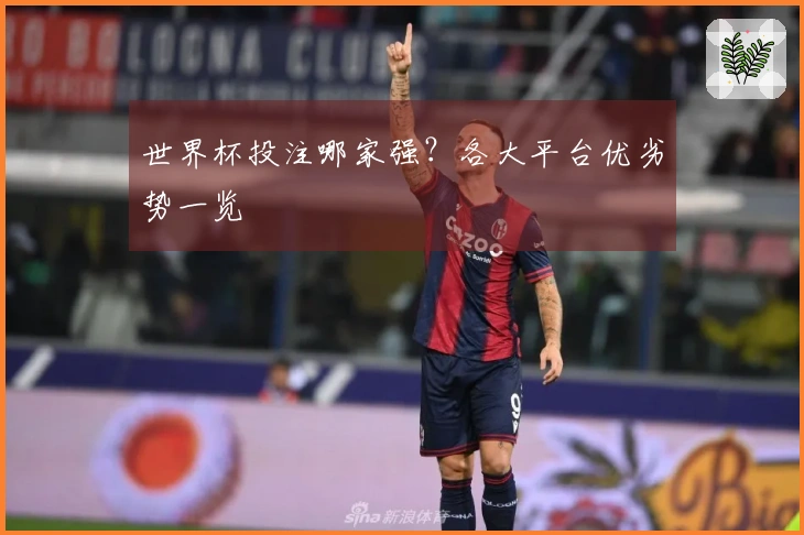 世界杯投注哪家强？各大平台优劣势一览