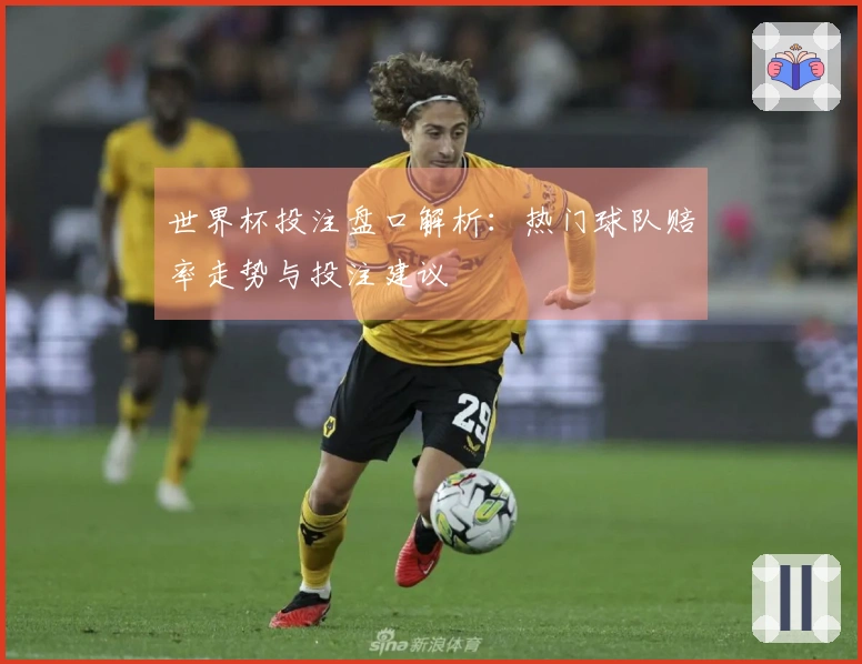 世界杯投注盘口解析：热门球队赔率走势与投注建议
